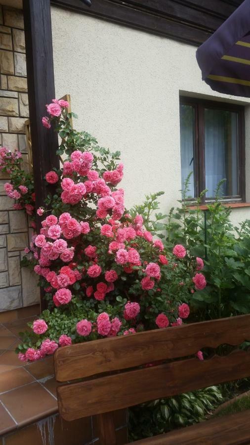 Apartament Jodlowy Szczyrk Dış mekan fotoğraf